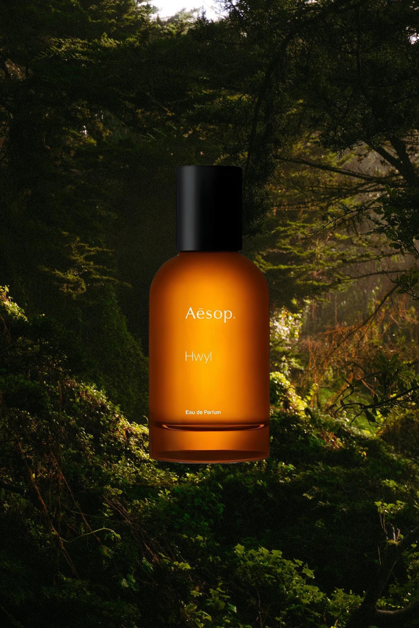 Aesop - Hwyl- Sample Size - Etsy