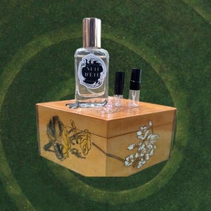Diptyque Lilyphea - Etsy