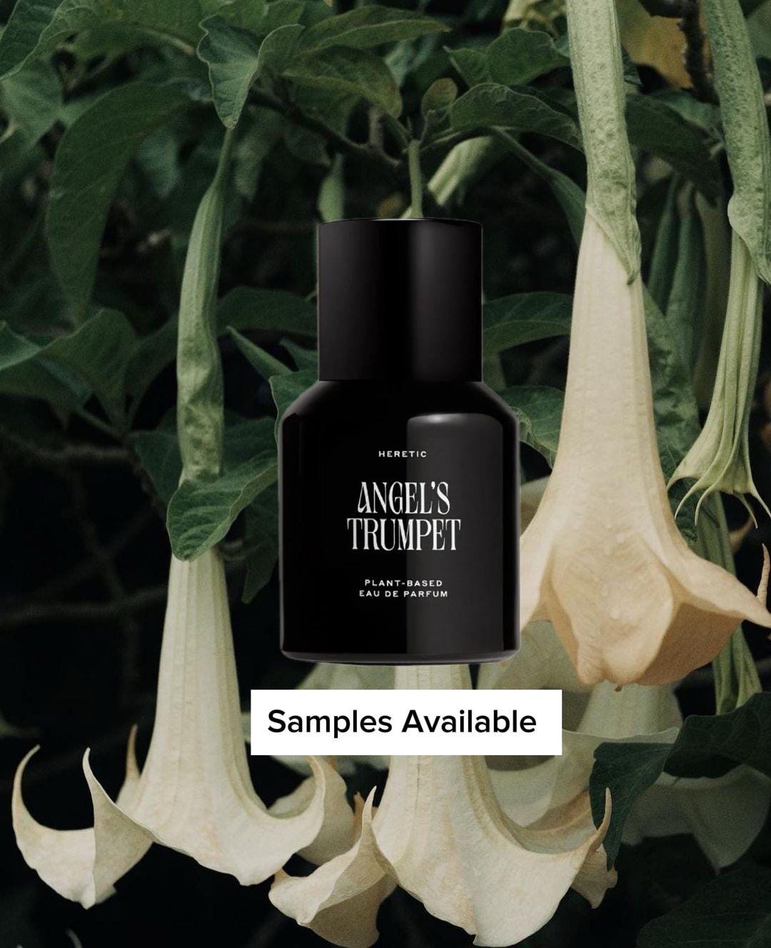 Nosferatu Perfume Heretic - Etsy