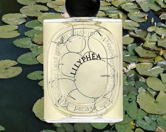 Lilyphea Sample