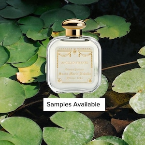 SMN Angeli di Firenze Sample