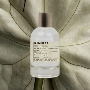 Jasmin 17 Sample