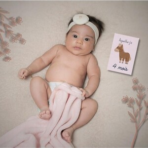 Cartes étapes bébé 0 à 12 mois
