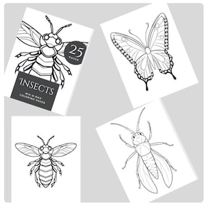 Insect Digital Coloring Books, Bug Coloring Pages, Insect Art Therapy, Printable Insect Activities, Nature Education Resource Bug Coloring