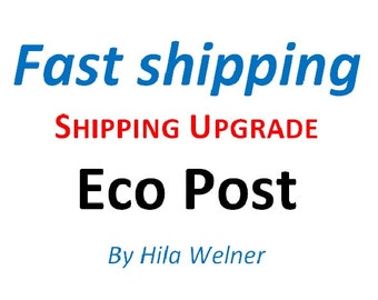 Fast Shipping Shipping upgrade By Eco Post  Express delivery  from Israel - Fast shipping upgrade