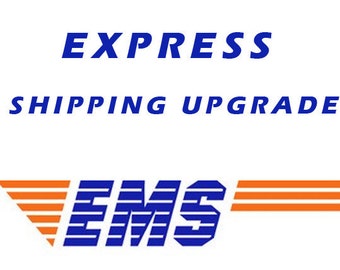 Express shipping upgrade - EMS delivery to the U.S from Israel