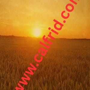 Atardecer de trigo dorado – Póster vintage imprimible