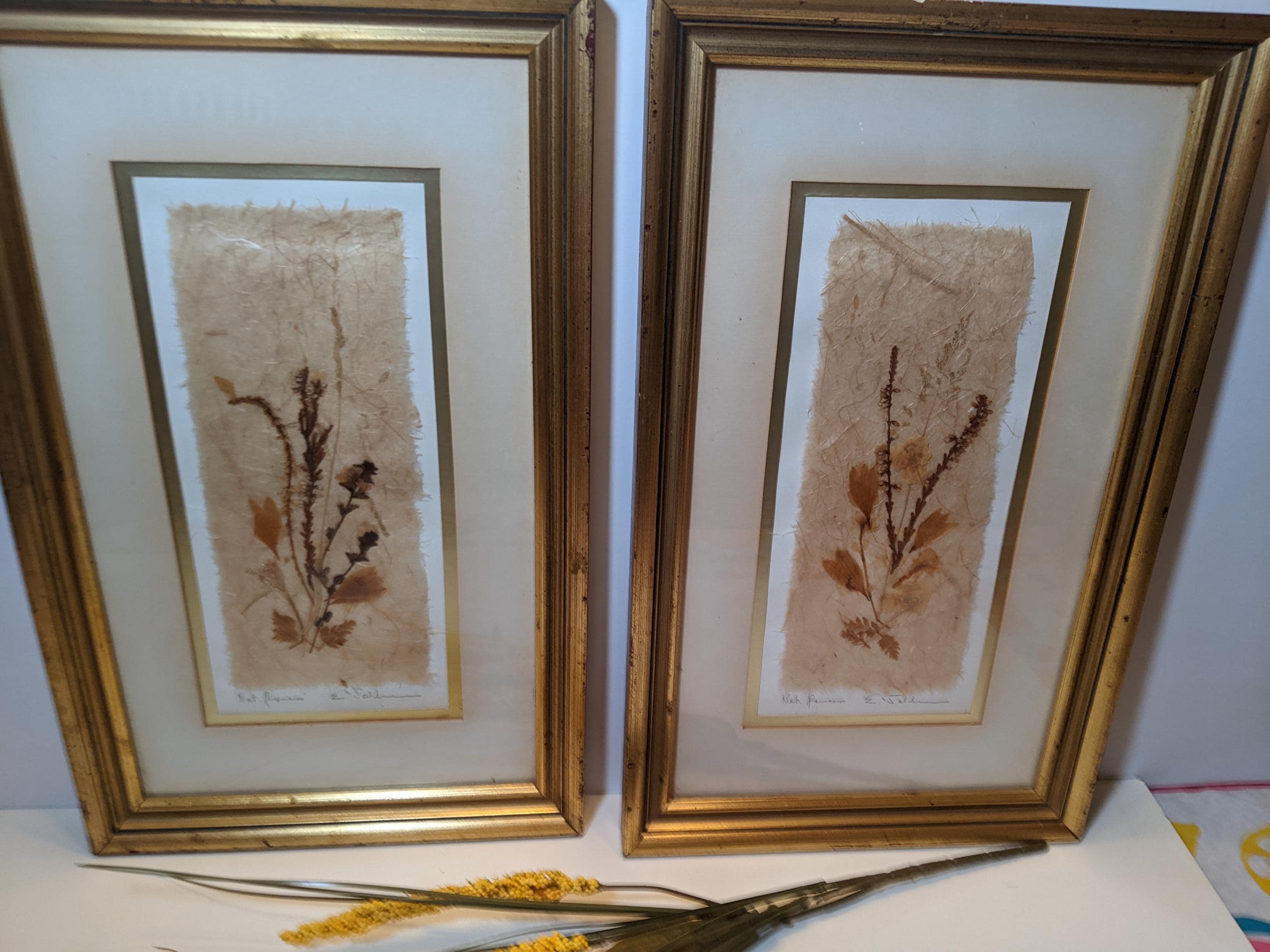 【新品・未使用】押し花　ドライフラワー　アート　額縁付き 新品・未使用】押し花 ドライフラワー アート 額縁付きドライフラワー