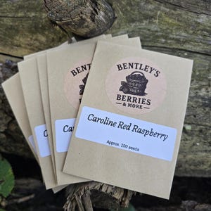 May include: A stack of light brown paper seed packets featuring a circular logo with a basket of berries and the text Bentley's Berries & More. Each packet has a white label reading Caroline Red Raspberry and Approx. 200 seeds.