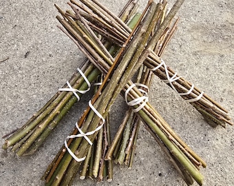 Willow Cuttings — Fast Growing Hardwood Cuttings