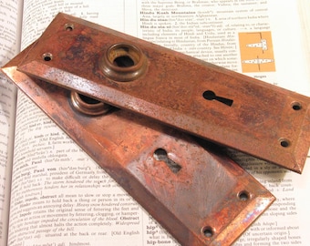 Pair Vintage FLASHED COPPER Door Plates w Distressed Finish - Antique Hardware #C