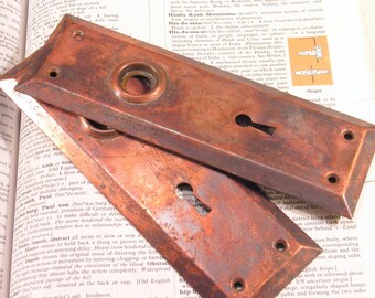 Pair Vintage FLASHED COPPER Door Plates w Distressed Finish - Antique Hardware #D