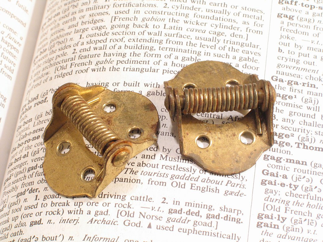 Pr Small Vintage Cupboard Spring Hinges 15/8 x 11/8 Etsy