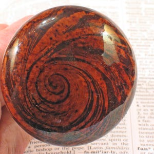 May include: A round, polished stone with a swirling pattern of dark brown and reddish-brown hues. The stone's surface is glossy, and the design resembles a spiral. The object is held in a hand.