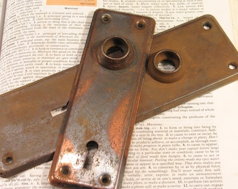 Par de placas de puerta de entrada vintage con acabado envejecido - Herrajes antiguos n.° A