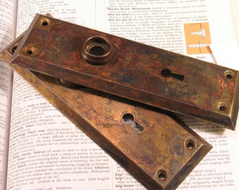 Pair Vintage Door Plates w Distressed Brass Finish - Antique Hardware #F