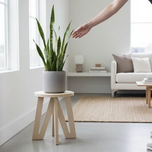May include: A snake plant with long, pointed, variegated green and yellow leaves potted in a smooth, cylindrical gray ceramic planter. The planter sits atop a light-colored wooden stool featuring three angled legs and a circular top surface.