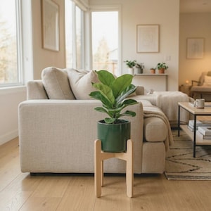 Puede incluir: Una maceta de cerámica verde con una planta frondosa se encuentra sobre un soporte de madera clara. El soporte tiene un diseño simple y moderno. La planta y el soporte están en una sala de estar bien iluminada con un sofá beige.