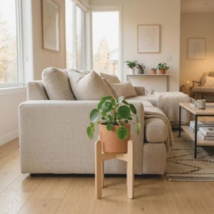 May include: A Pilea peperomioides plant with round, dark green leaves potted in a matte terracotta-coloured ceramic container, which is held by a light-toned wooden plant stand featuring four vertical legs and a cross-shaped base support.