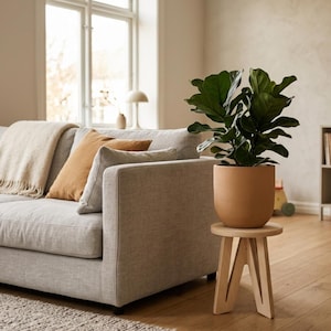 Puede incluir: Escena de salón con un sofá gris claro con cojines beiges y naranjas y una manta beige. Una gran planta en maceta con hojas verdes se encuentra sobre un pequeño taburete de madera. La habitación tiene una paleta de colores neutros.