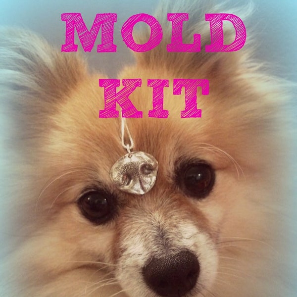 Mold Kit for Dog and Cat Nose and Paw Prints and Finger Prints