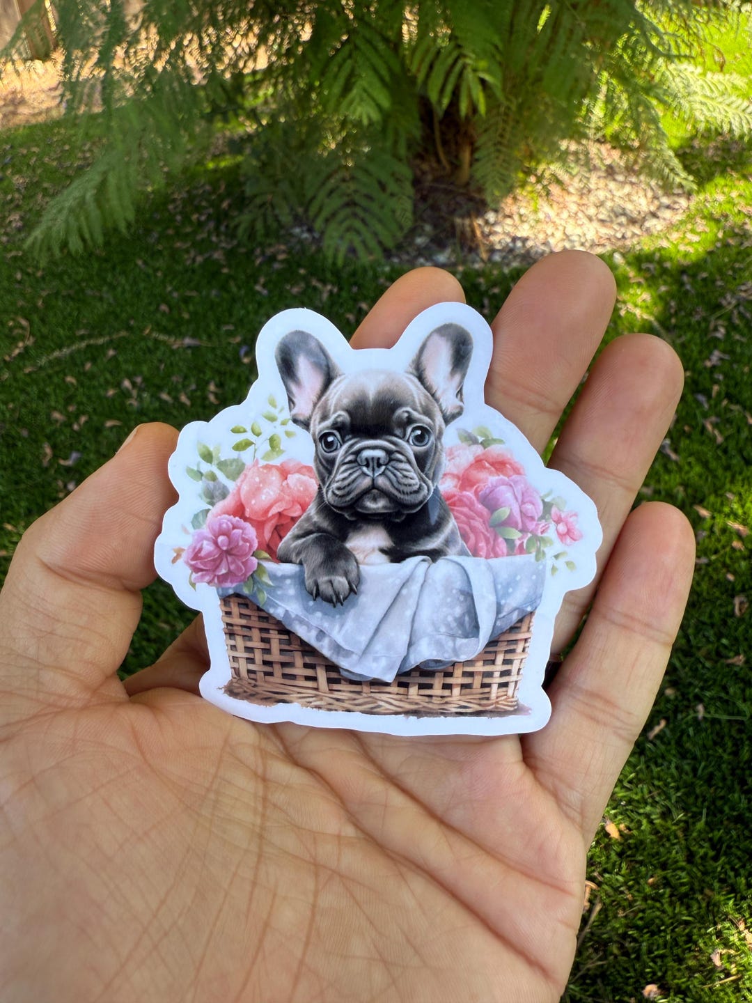 Frenchie Girl Sticker, Frenchie Sticker, French Bulldog Sticker ...