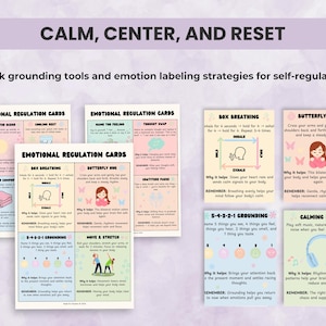 Emotional Regulation Cards from the Executive Function Toolkit featuring grounding and calming strategies for self-regulation and mindfulness practice.