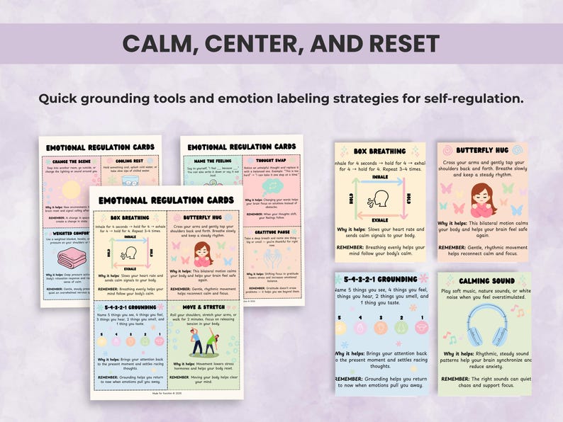 Emotional Regulation Cards from the Executive Function Toolkit featuring grounding and calming strategies for self-regulation and mindfulness practice.