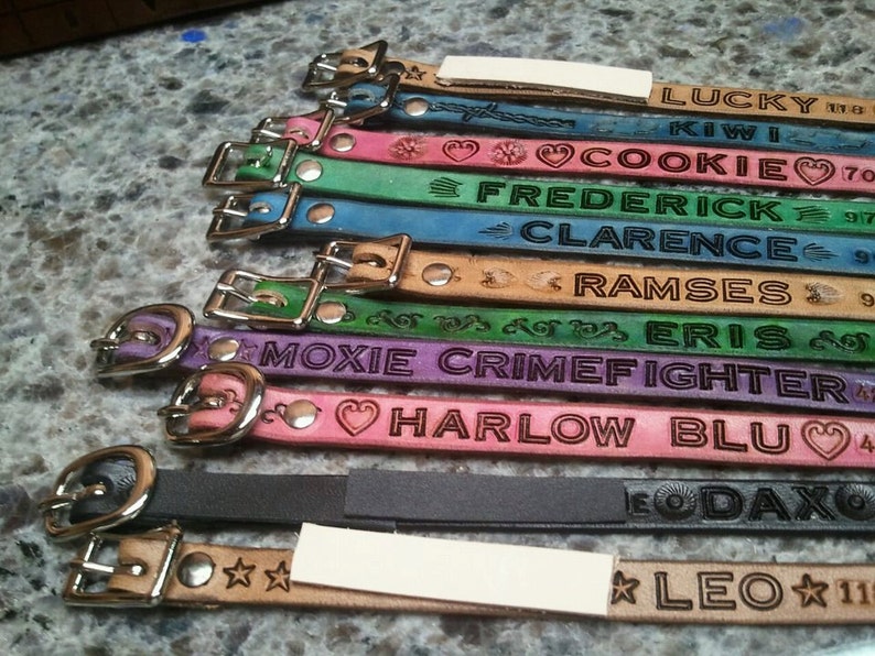 phone number etc Custom leather cat collar Name stamped in leather FREE shipping in USA address