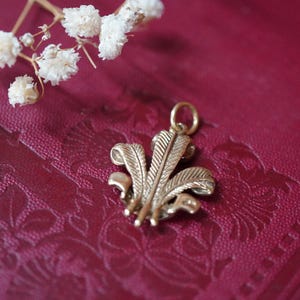 Könnte beinhalten: Ein goldfarbener Metallanhänger in Form eines dreifedrigen Wappens mit einem kleinen runden Verbindungsring an der Oberseite. Die Federn weisen detaillierte, geätzte Linien und geschwungene Spitzen auf, die ein symmetrisches Fächermuster bilden.