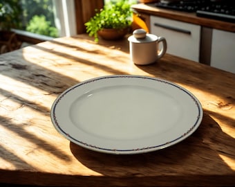 Bandeja antigua de Charles Ahrenfeldt Limoges • Modelo AHR6 • Marca del minorista J. Dolfinger & Co Louisville KY • Bandeja de servir de porcelana francesa