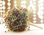 Winter Holiday Bridal Bouquet - Red & Green Wedding Bouquets for Christmas
