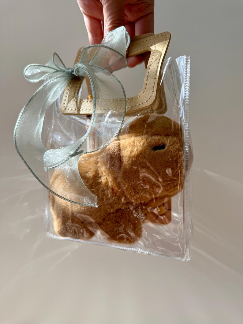 Puede incluir: Una bolsa de regalo de pl&aacute;stico transparente con un asa de cuero beige y una cinta azul claro. Dentro de la bolsa hay un juguete de peluche marr&oacute;n. La bolsa est&aacute; sujeta por una mano.
