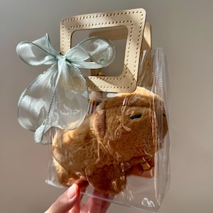 Puede incluir: Una bolsa de regalo de pl&aacute;stico transparente con un asa cuadrada beige y una cinta azul claro. Dentro de la bolsa hay un juguete de peluche marr&oacute;n. La bolsa est&aacute; sujeta por una mano.