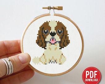 Razza di spaniel nano, schema per punto croce, cagnolino, animale domestico contemporaneo, animale, contato per principianti, schema moderno, fai da te, ricamo, PDF istantaneo