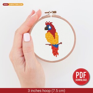 Puede incluir: Un bastidor de bordado de 7,5 cm con un diseño de loro en punto de cruz. El loro es rojo, amarillo, azul y negro, posado en una rama marrón sobre un fondo blanco. Incluye el texto "PDF DOWNLOAD".