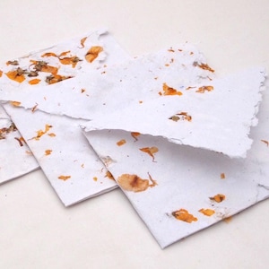 Pressed Flower Envelope – Handmade with Orange Blooms