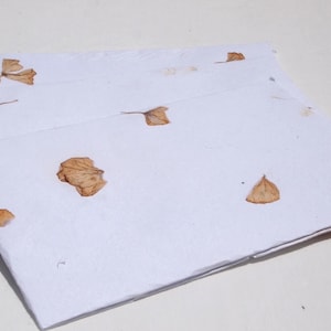 Hydrangea Petal Handmade Envelopes — Natural Floral Art
