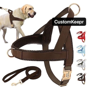 May include: Brown dog harness with a matching lead. The harness has a mesh chest piece, gold-coloured metal hardware, and a personalised nameplate. The text "CustomKeepr" is visible. Additional colour options are shown in red, light blue, grey, and brown.