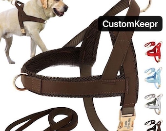 Custom Personalized Dog Harness Set, No-Pull Vest with Leash Collar
