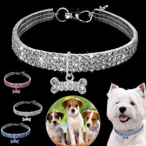 May include: A glamorous dog collar featuring two rows of clear crystals and a bone-shaped pendant. The image shows the collar in silver, pink, and blue, with dogs modelling the collars. A fashionable pet accessory.