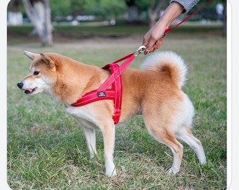 Adjustable Reflective Dog Harness, Breathable Padded Vest for Small Medium Large Puppies
