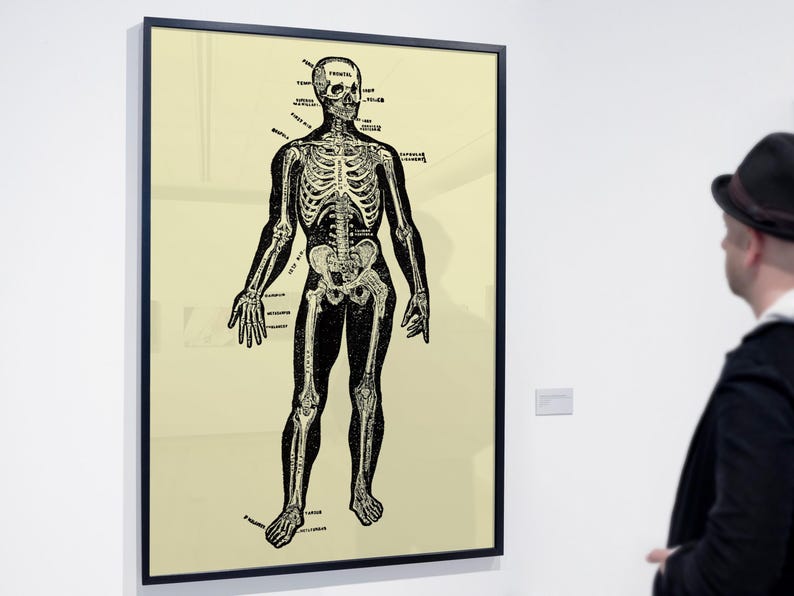 Vintage Anatomical Skeleton Poster Print, Medical Science Art Decor ...