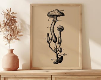 Vintage Mushroom Art Poster Print, Botanical Poster, Rustic Wall Decor, CUSTOM COLOR!