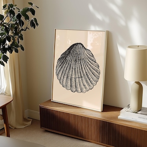 May include: A framed wall art print featuring a detailed black ink illustration of a single seashell centred on a solid light beige background. The artwork is encased in a thin, light-coloured wooden frame, showcasing a clean and simple aesthetic.