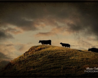 Grass is Greener on the Other Side  12x18 Fine Art Photo