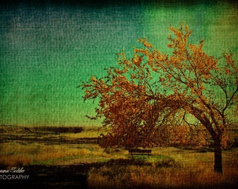 Waiting for the Train  12x18 Fine Art Photo