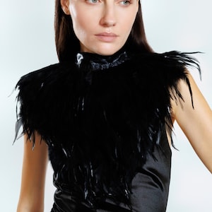 Może przedstawiać: Czarny kołnierz z piór z wysokim dekoltem. Kołnierz wykonany jest z miękkich, puszystych piór i noszony jest na czarnym satynowym topie. Kołnierz dodaje odrobinę elegancji i dramatyzmu do stroju.