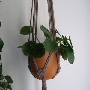 Op de afbeelding: Een hangende plantenpot met een bruine keramische pot en een groene plant met bladeren. De pot wordt opgehangen door een grijze macramé plantenhouder. De plant heeft grote, ronde bladeren. De achtergrond is een effen witte muur.