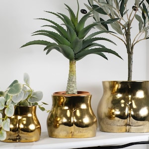 May include: Three metallic gold ceramic planters shaped like human torsos in varying sizes. Each planter features a smooth, reflective finish and holds a green plant, including a small leafy vine, an aloe-like succulent, and a tall olive tree.